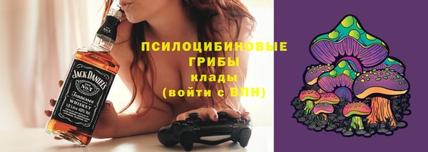 ПСИЛОЦИБИНОВЫЕ ГРИБЫ Арсеньев