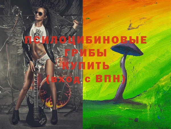 соль ск Алзамай
