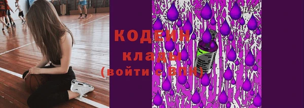 ПСИЛОЦИБИНОВЫЕ ГРИБЫ Арсеньев