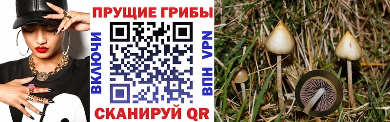 Галлюциногенные грибы мухоморы как найти MEGA ONION Асино