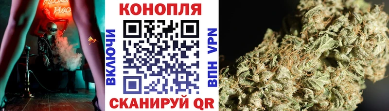 мега как зайти  Асино  Бошки марихуана планчик  купить  